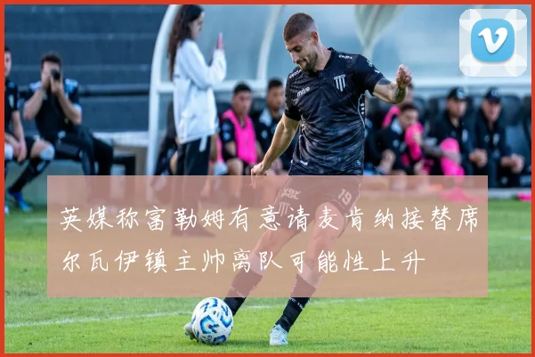英媒称富勒姆有意请麦肯纳接替席尔瓦伊镇主帅离队可能性上升